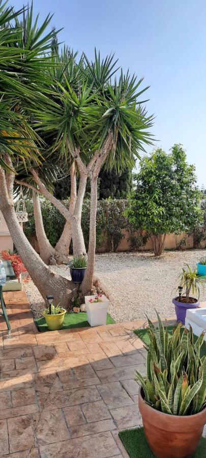 Villa Anastassia Agia Napa Exterior foto